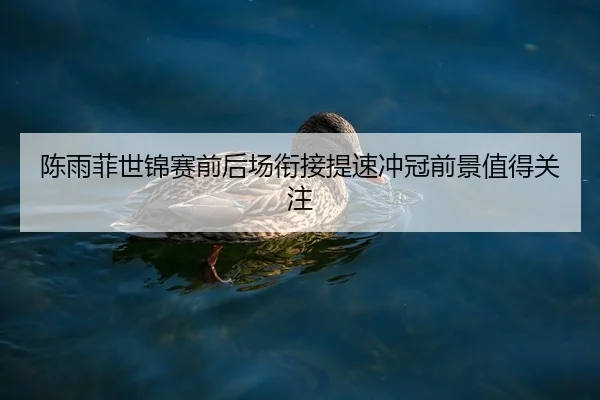 陈雨菲世锦赛前后场衔接提速冲冠前景值得关注