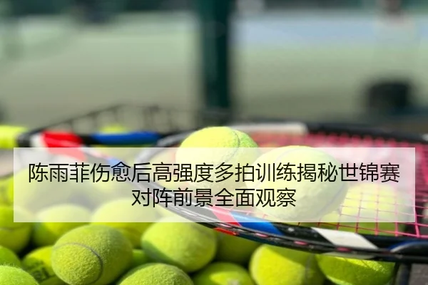 陈雨菲伤愈后高强度多拍训练揭秘世锦赛对阵前景全面观察
